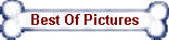 Best Of Pictures