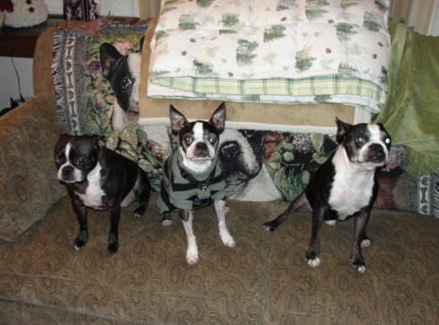Winston Home