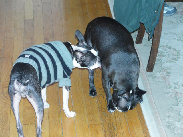 Winston and Sophie