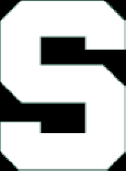 Michigan State Logo